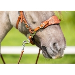Edix ED4 Rose Hackamore Bridle Edix ED4 Rose Hackamore Bridle